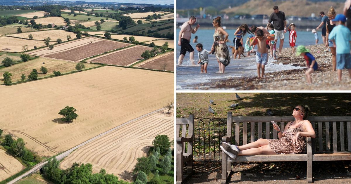 imported-skynews-heatwave-drought-weather_6988543.jpg