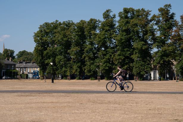 imported-0_Summer-weather-Aug-12th-2022.jpg