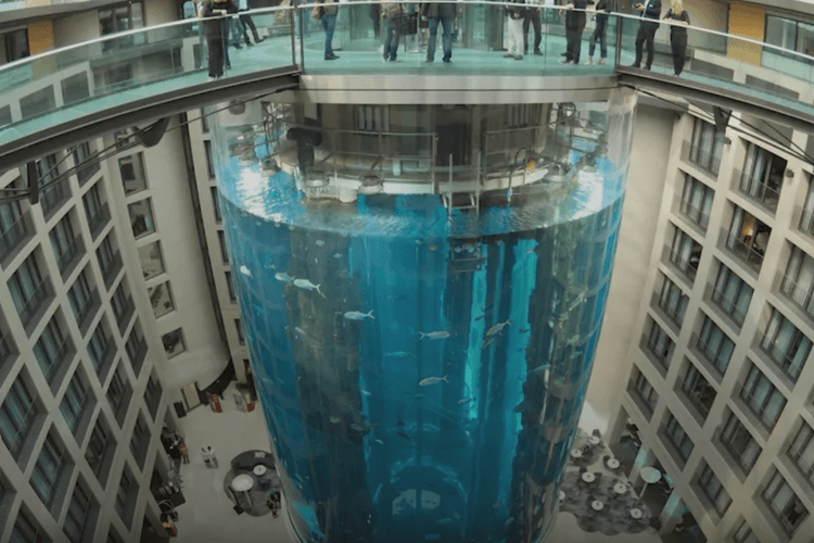 imported-aquarium-fb0940.png