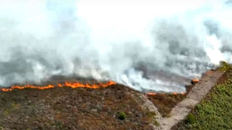 imported-skynews-fire-langdale-moor_6990004.jpg