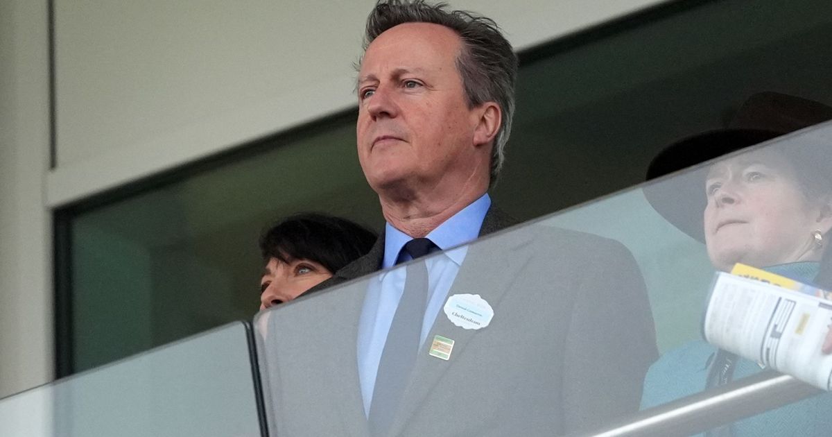 imported-skynews-david-cameron-cheltenham_7190337.jpg