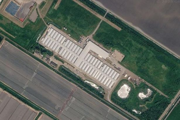 imported-0_Gs-Mushroom-Farm-Littleport-Google-EarthJPG.jpg