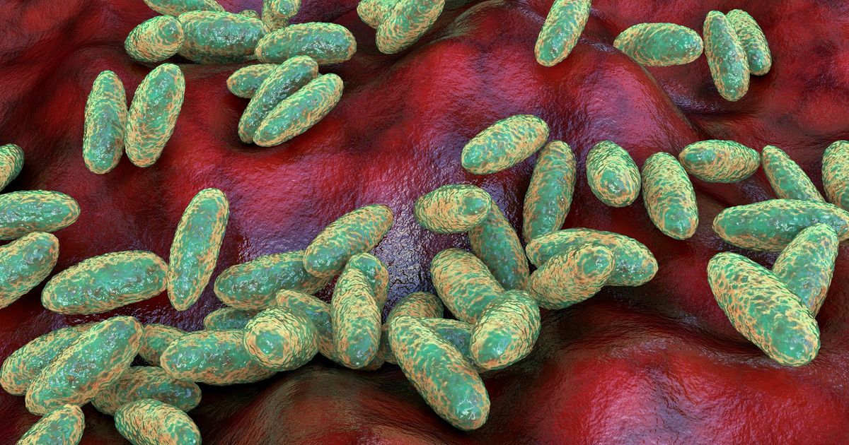 imported-skynews-plague-yersinia-pestis_7368625.jpg