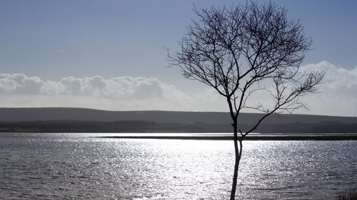 imported-skynews-poole-bay-arne-nature_7263588.jpg