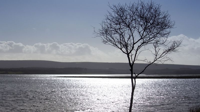 imported-skynews-poole-bay-arne-nature_7263588.jpg