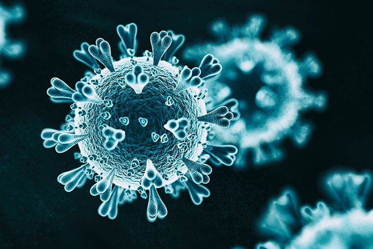 imported-Coronavirus image-914c2a.jpg