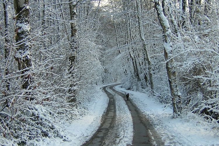 imported-SNOW ROAD-07ce6a.jpg
