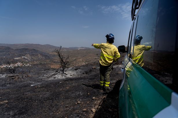 imported-4_At-least-12-dead-in-Los-Gallardos-wildfire-in-Almera-southern-Spain-11-Jul-2026.jpg