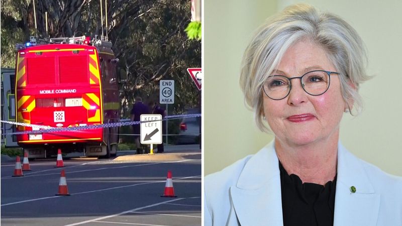 imported-skynews-helen-haines-australia_7380716.jpg