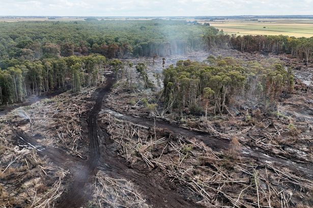 imported-0_Holme-Fen-wildfire.jpg