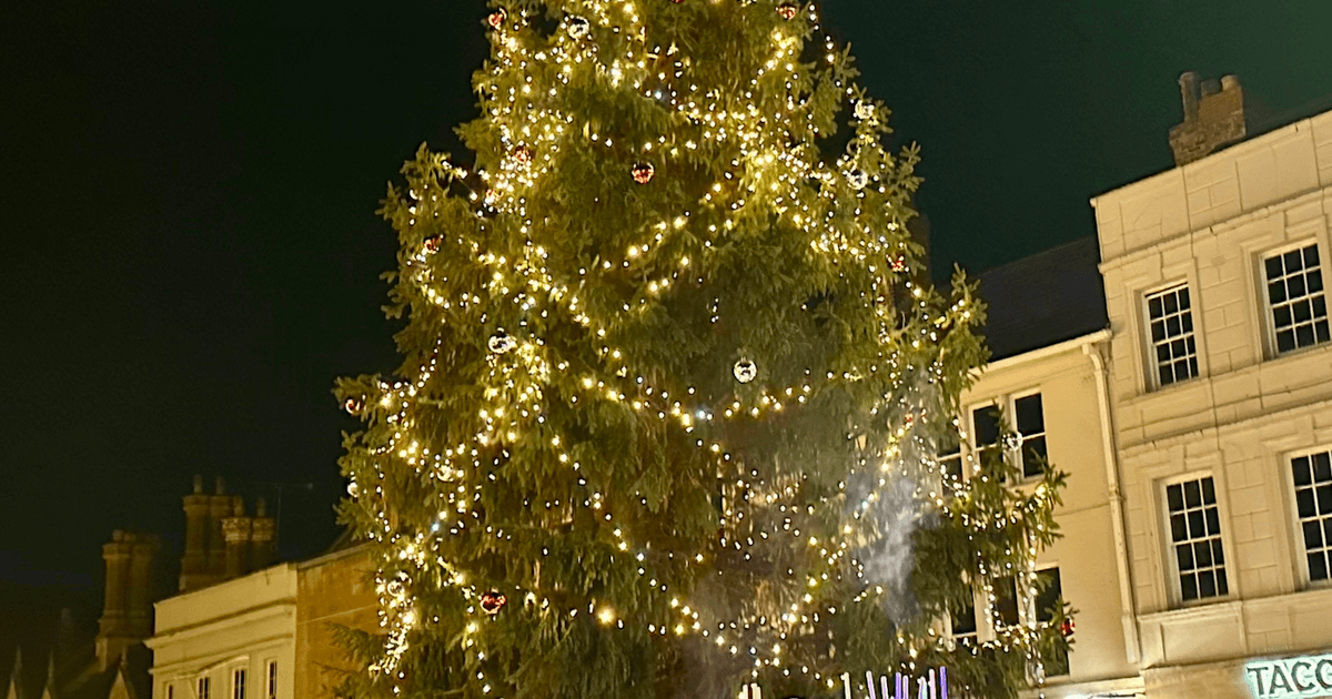 BR PETERBOROUGH CHRISTMAS LIGHTS 2026 GENERIC GRAPHIC V2.png