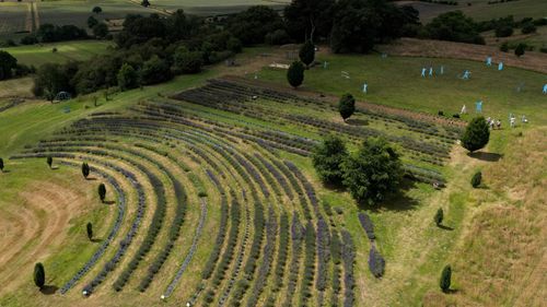 imported-skynews-field-yorkshire-weather_7372083.jpg