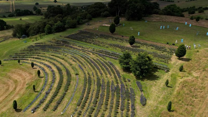 imported-skynews-field-yorkshire-weather_7372083.jpg