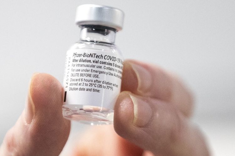 imported-vaccine pfizer-511397.jpg