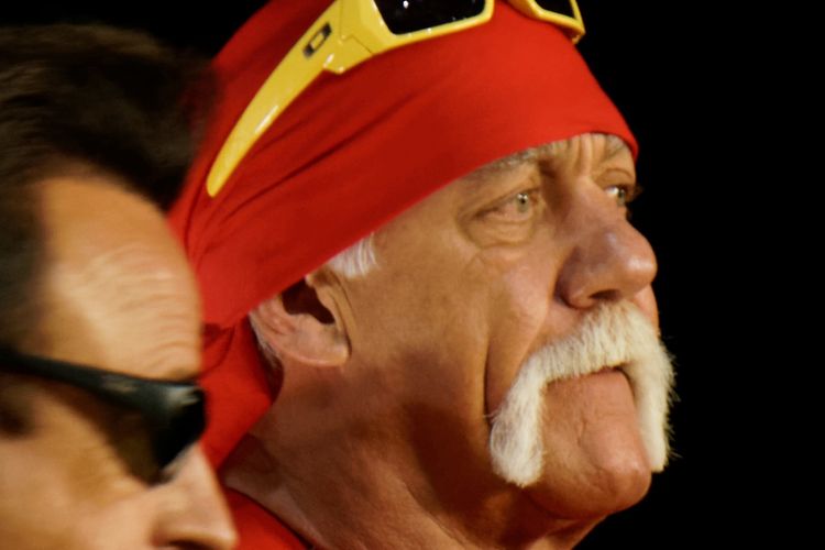 imported-Hulk%20Hogan-d0fe0d.jpg