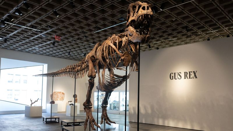imported-skynews-tyrannosaurus-rex-dinosaur_7298116.jpg