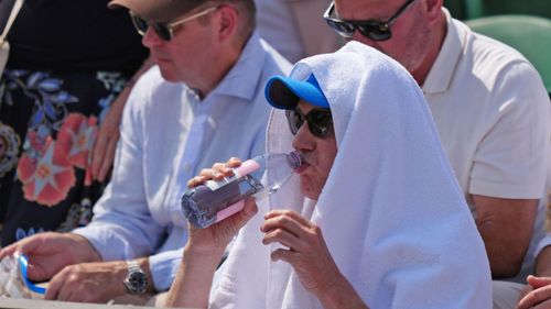 imported-skynews-wimbledon-spectator_7288930.jpg