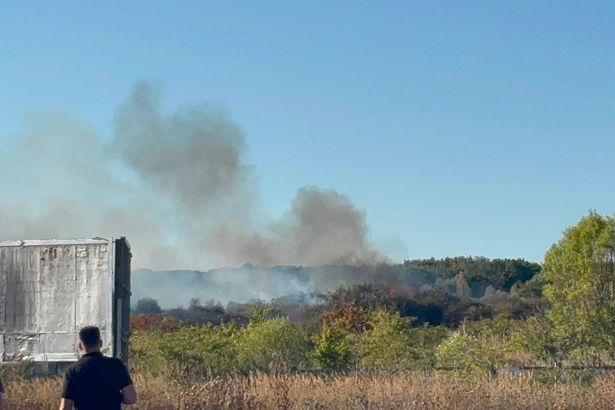 imported-1_Hampton-fire-4-jpeg.jpg