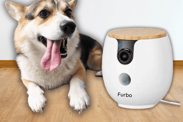 imported-furbo2.png