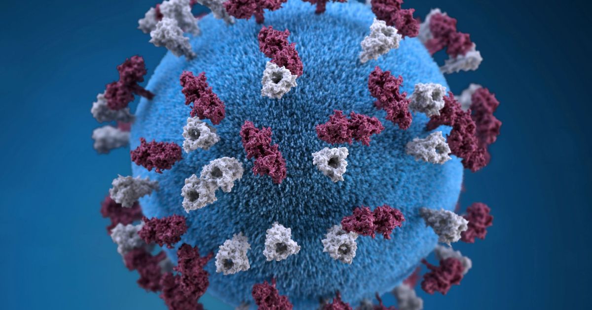 imported-skynews-measles-graphical-virus_6855358.jpg