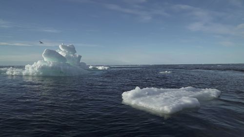 imported-skynews-arctic-sea-ice_7302895.jpg