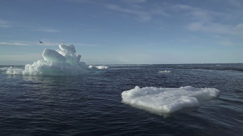 imported-skynews-arctic-sea-ice_7302895.jpg