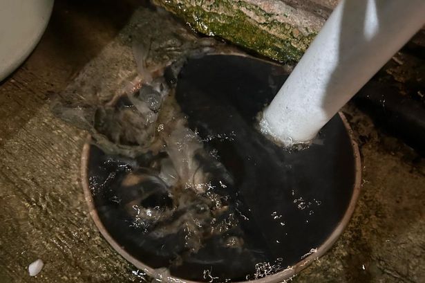 imported-1_Sewage-overflowing-on-Barkers-Lane-March-1jpeg.jpg