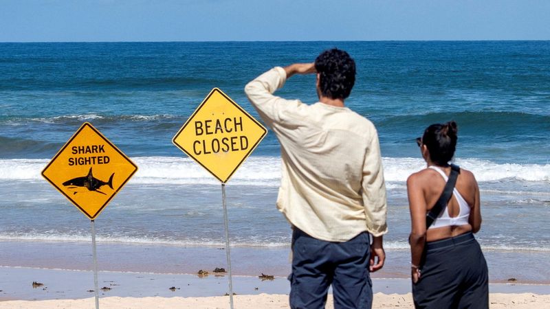 imported-skynews-australia-beach-shark_7140261.jpg