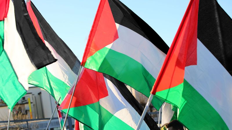 imported-skynews-palestine-flags_6973329.jpg