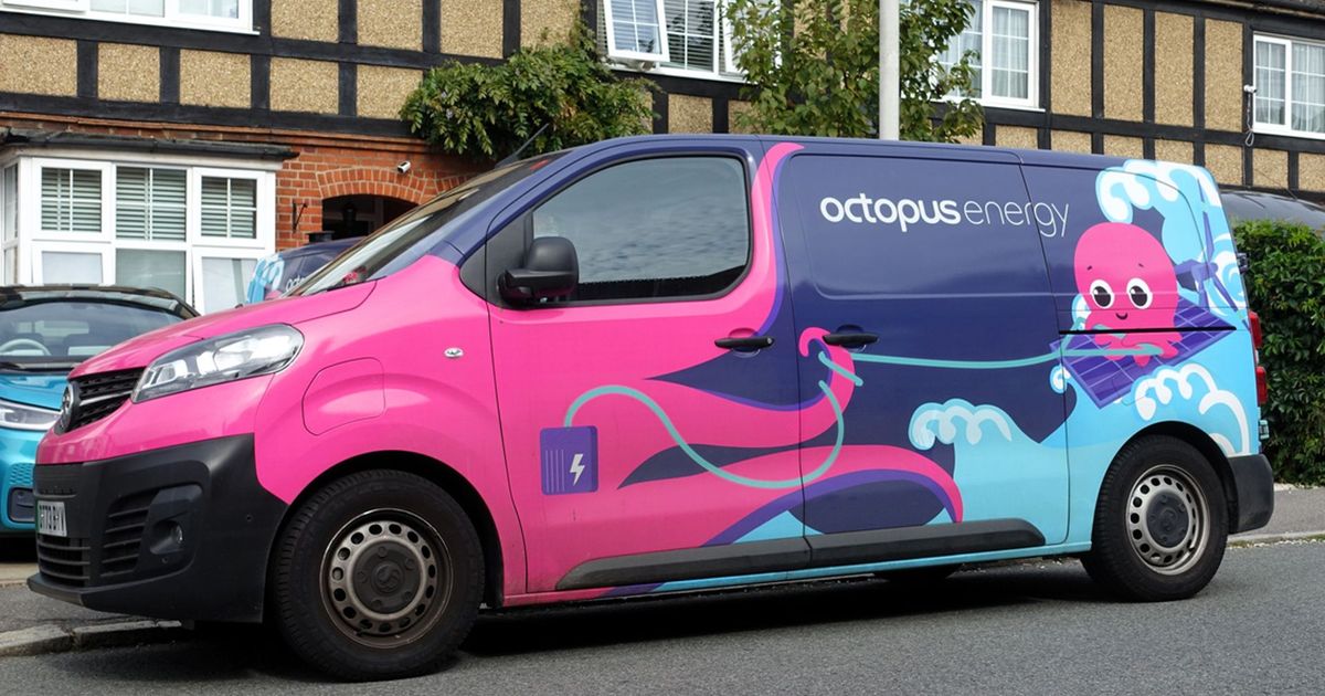 imported-skynews-octopus-energy-istock_6957559.jpg