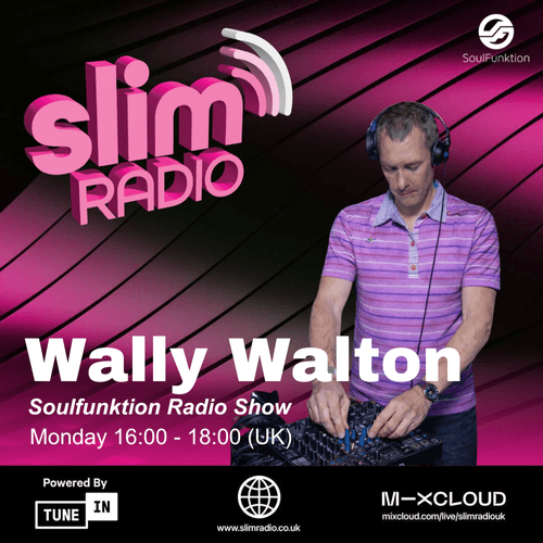 WALLY SLIM FLYER.png
