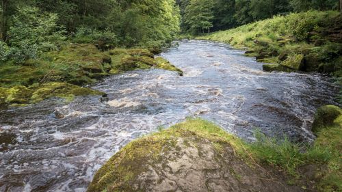 imported-skynews-river-wharfe-north-yorkshire_7262595.jpg