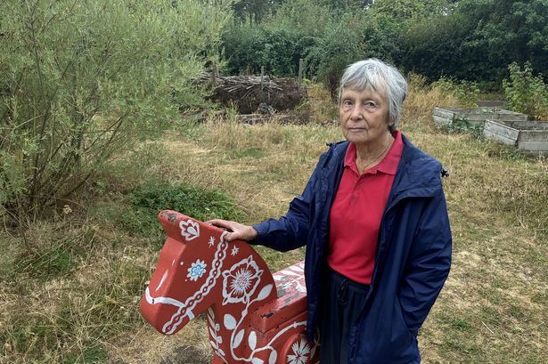 imported-0_Anne-Davenport-with-wooden-pony-Rosie.jpg