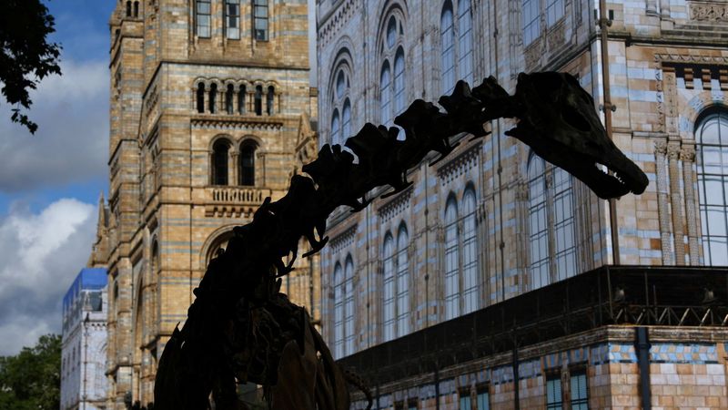imported-skynews-natural-history-museum_7364227.jpg