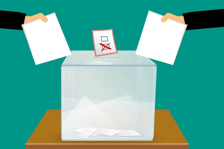 imported-vote-3569999_1920-1f2198.jpg