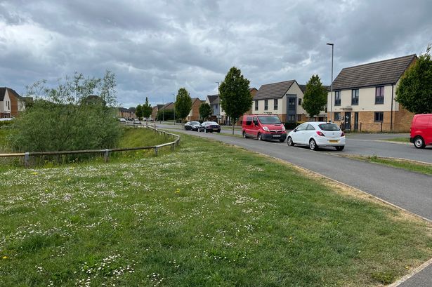 imported-0_Roman-Fields-Peterborough-1jpeg.jpg