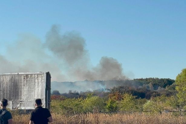 imported-0_Hampton-fire-4-jpeg.jpg