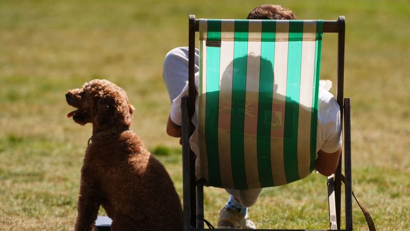 imported-skynews-sunshine-weather-green-park_7261443.jpg