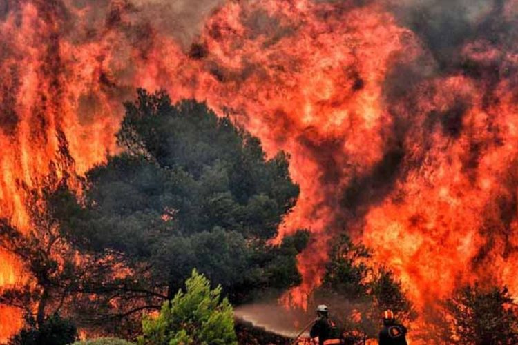 imported-greece-fire-jul24-cbe3bf.jpg