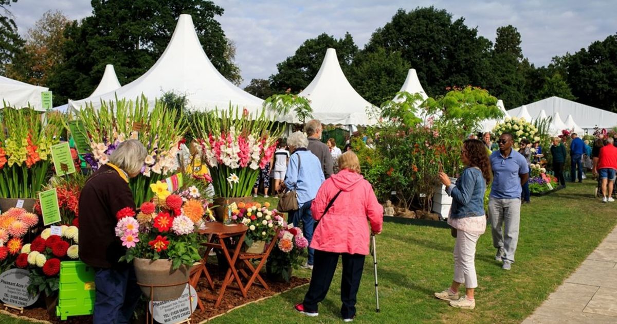 Wisley Flower show 2025.jpg