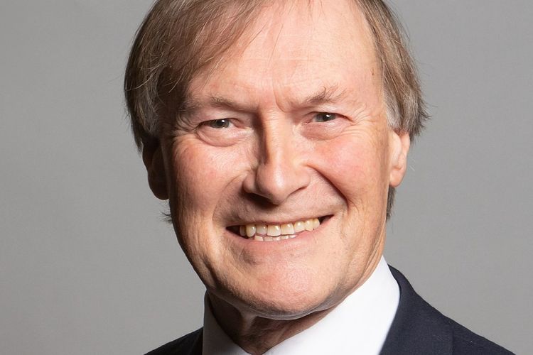 imported-dAVID aMESS-ac621e.jpg