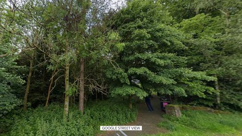 imported-skynews-glasgow-springburn-park_7291050.jpg