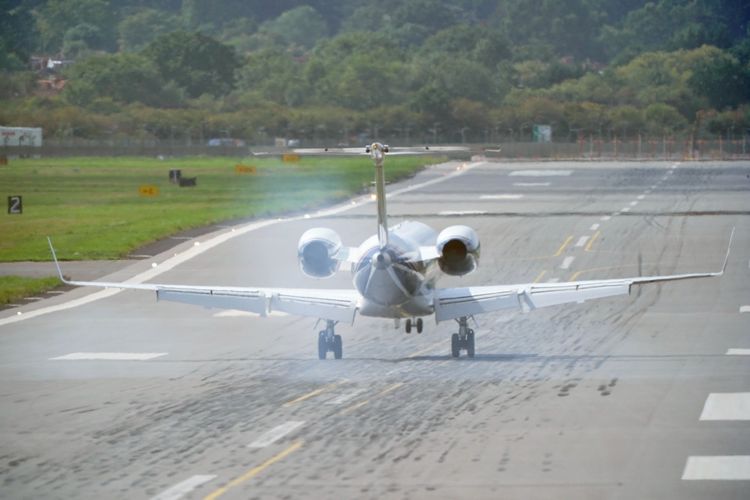 imported-2.68721033-bc2cb6.jpg