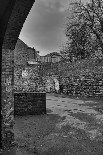 imported-IMG_1776-683x1024.jpeg