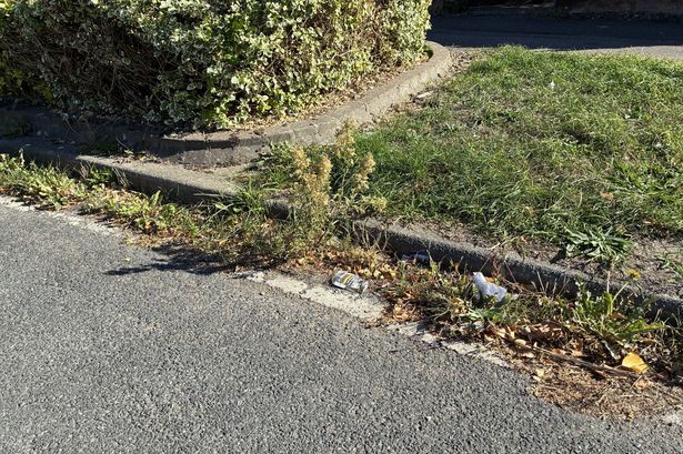 imported-1_Weeds-growing-out-of-the-roadside-in-Cambridge-IMG_0388.jpg