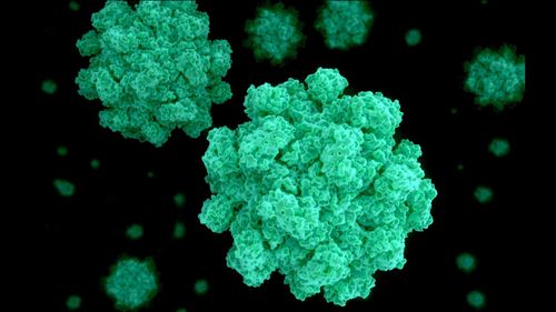 imported-skynews-norovirus-health_6841328.jpg