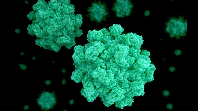 imported-skynews-norovirus-health_6841328.jpg