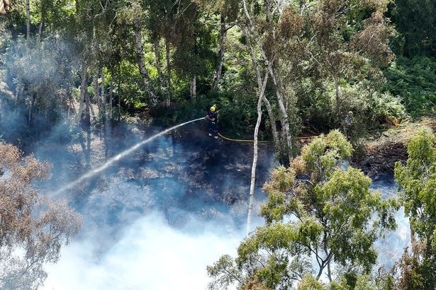 imported-0_Fire-on-Holme-Fen.jpg