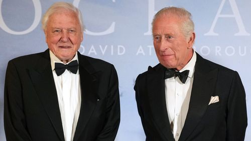 imported-skynews-king-charles-sir-david-attenborough_7242004.jpg