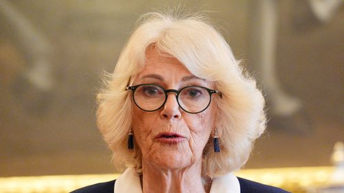 imported-skynews-queen-camilla-wow_7187979.jpg